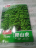 【亏本冲量】新品爬山虎种子四季青三叶地锦阳台庭院爬藤观叶植物 绿爬山虎种子/包约40粒 一包 实拍图