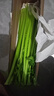山东新鲜大西芹现割现发榨汁西芹首选水果西芹蔬菜生鲜减肥减脂 新鲜西芹带箱2斤 净重1.7斤 实拍图