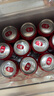 百威啤酒mini红罐淡色拉格255ml*24听小罐整箱装京东自营喜酒 实拍图
