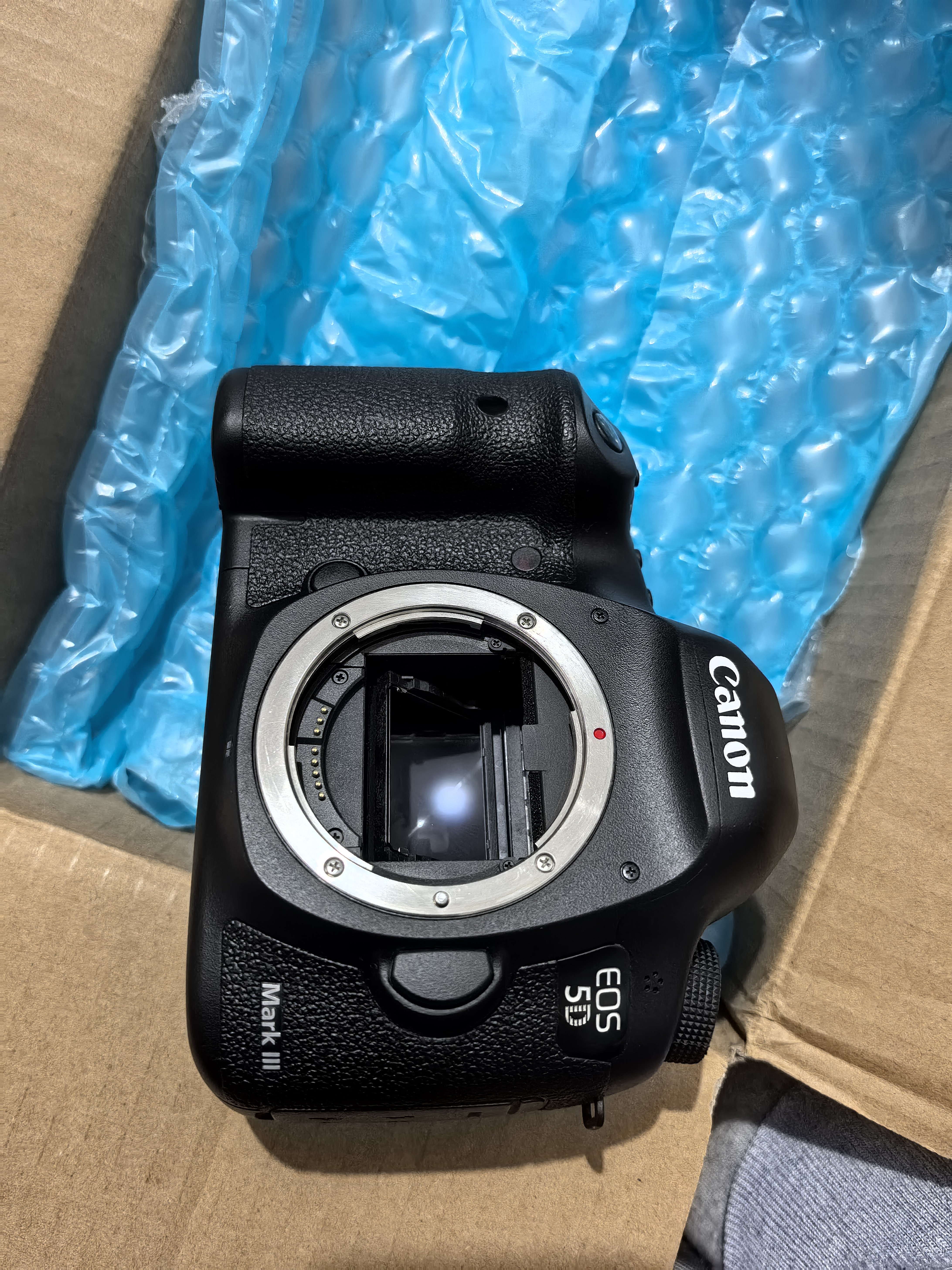 佳能/Canon 5D3 5D4 5D2 6D 6D2 5DS 5DSR 全画幅二手单反相机 佳能5D3/5D MARK III 单机身 【准新】 实拍图