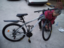 凤凰（Phoenix）山地自行车成人学生儿童碟刹越野变速单车 ZB888 26英寸24速灰色 实拍图