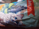 狼孩儿冻干猫粮20斤全价成猫英短蓝猫全种猫通用天然粮10kg 实拍图