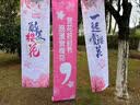 浪漫大师樱花节场景布置条幅春季露营户外氛围挂布打卡拍照春天 樱花节挂布条幅B款【5条装】赠工具包 晒单实拍图