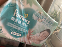 帮宝适超薄透气清新帮纸尿裤新生儿婴儿尿不湿尿片透氧Pro L46 实拍图