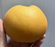京鲜生 长城羊脂秋月梨 6斤装 大果8-9粒 单果300g+  生鲜水果礼盒 实拍图