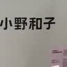小野和子冰丝防晒裤女夏季凉感运动户外休闲直筒阔腿长裤 曜石黑 L 实拍图