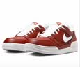 耐克（NIKE）NIKE男子休闲鞋 FULL FORCE LO 运动鞋FB1362-600红 41 实拍图