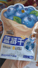 三只松鼠每日蓝莓干256g/16包 无添加水果干果脯小包装儿童老人办公室零食 实拍图