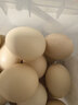 京鲜生【供港品质】【每日鲜蛋】无抗谷物鸡蛋30枚3.78斤当日产蛋当日发 实拍图