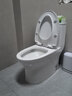 九牧（JOMOO）11173-2-1/31KD-3大力神家用马桶虹吸抗菌节水洁具305坑距 实拍图