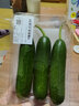 【水果菜】荷兰水果黄瓜约400g 实拍图