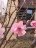欧润哲无痕挂钩免打孔 墙上挂画神器婚纱照相框画框隐形墙钉多功能挂钩 【隐形挂钉】大号10只 实拍图