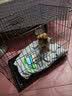 泽硕宁狗笼子大中小型犬狗窝带厕所折叠便携猫笼子超大号狗狗围栏宠物笼 黑色狗笼【加粗加固】赠厕所托盘 小型犬【8斤内】50*33*38 无毛边/无倒刺/不卡脚 实拍图