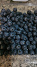 怡颗莓Driscoll's 云南蓝莓Jumbo大果18mm+ 2盒约125g/盒 新鲜水果 实拍图