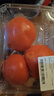 番茄约500g 实拍图
