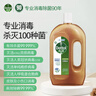 滴露（Dettol）消毒液250ml 衣物消毒水家居环境地板消毒 衣物除菌剂 灭活HPV16 实拍图