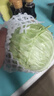 高原夏菜新鲜包菜卷心菜绿甘南菜甘蓝圆白菜时令蔬菜健康营养早餐 1.5斤-2斤高端标准菜 实拍图