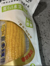 北纬47度水果玉米2.64斤(220g*6根)开袋即食鲜甜玉米棒 低脂低GI早餐苞米 实拍图