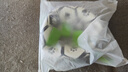欢宠网宠物狗狗玩具足球耐咬磨牙球自己玩解闷神器小狗边牧比熊金毛大型 实拍图
