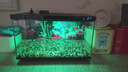 米家智能生态鱼缸还原自然生态智能鱼缸+米家生化滤芯 实拍图