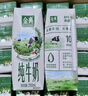 伊利【新鲜日期】金典纯牛奶早餐奶整箱250ml*16盒 3.6g乳蛋白 礼盒装 实拍图