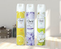 CHEIR空气清新剂香薰柠檬+茉莉+反转巴黎香型370ml*3瓶 实拍图