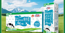 花园【新鲜日期】黄金牧场纯牛奶200克*20盒整箱装新疆原产礼盒装 实拍图