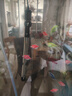 森森鱼缸水族箱加热棒自动恒温防爆乌龟缸加温棒小型鱼缸加热器500W 实拍图