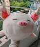 名创优品（MINISO）小猪B-BO新年趴姿毛绒公仔玩具玩偶抱枕靠枕娃娃生日礼物女 实拍图