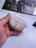华为FreeBuds Pro 5真无线蓝牙耳机悦彰星闪耳机录音转写听力助听入耳式主动降噪跑步游戏低延时MT33 大地金+万马奔腾礼盒+耳机保护套 京东旗下官方店 实拍图