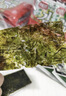 海牌菁品干紫菜原味海苔2g*24包寿司儿童即食紫菜48g休闲零食 实拍图