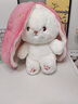 尚韵儿童情人节新年生日礼物女生草莓兔子玩偶娃娃毛绒玩具女孩公仔 实拍图