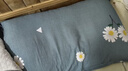 洁丽雅7A抗菌纯棉枕套一对 加厚家用印花枕头套枕芯套 花漾-蓝48*74cm 实拍图