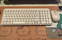 罗技（Logitech）MK251无线蓝牙键盘鼠标套装 办公商务笔记本电脑 数字键盘99键粉色键鼠套装（K251键盘+M196鼠标） 实拍图