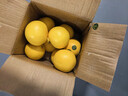 京鲜生 埃及进口红心西柚净重5斤装 单果220g起 新鲜水果  实拍图