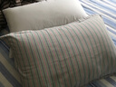 康尔馨希尔顿五星级酒店枕头 抗菌纯棉纤维枕成人家用单人枕头芯 白色 中高枕(74*48cm) 单只 实拍图