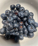 怡颗莓Driscoll's 云南蓝莓14mm+ 12盒装 约125g/盒 新鲜水果礼盒 实拍图
