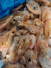 禧美海产熟冻北极甜虾净重3斤装/盒 150/180小号规格 MSC认证 轻食海鲜 实拍图