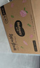 好奇（Huggies）铂金装小桃裤纸尿裤XL96片(12-17kg)加大号尿不湿透【透爽散热】 实拍图