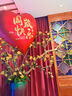 多美忆周岁生日布置超大气球爱心金字双面宝宝抓周道具全套蛇宝爱心1.1 实拍图