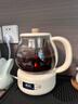 小熊（Bear）煮茶器喷淋式全自动保温养生壶家用小型恒温电茶炉电水壶普洱黑茶一人蒸汽煮茶壶办公室桌面泡茶壶 米色（微电脑款）ZCQ-A10W5 1L 实拍图