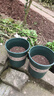 墨斗鱼花盆加仑盆加厚高款5加仑*2种菜盆大号盆栽树脂塑料简约带托盘 实拍图