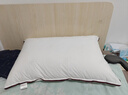 水星家纺枕头枕芯酒店枕头护颈枕头芯家用单个纯棉抗菌可水洗中枕48x74cm 实拍图