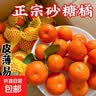 正宗广西桂林马水砂糖橘沙糖桔新鲜水果当季蜜桔桂林橘子贡柑整箱 带箱2斤 净重1.5斤 小果（30-40mm） 实拍图