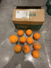 玖原农珍 源头直采脐橙新鲜橙子含箱10斤净重9斤优选果150-300g 水果礼盒 实拍图