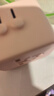 公牛（BULL）15W USB多国旅行插座转换插头/出国旅行出差留学超功率保护插头欧标美标澳标英标L10U15海盐蓝 实拍图