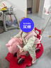 幼贝臣摇摇马木马儿童玩具男孩女孩婴儿玩具周岁宝宝生日礼物 实拍图