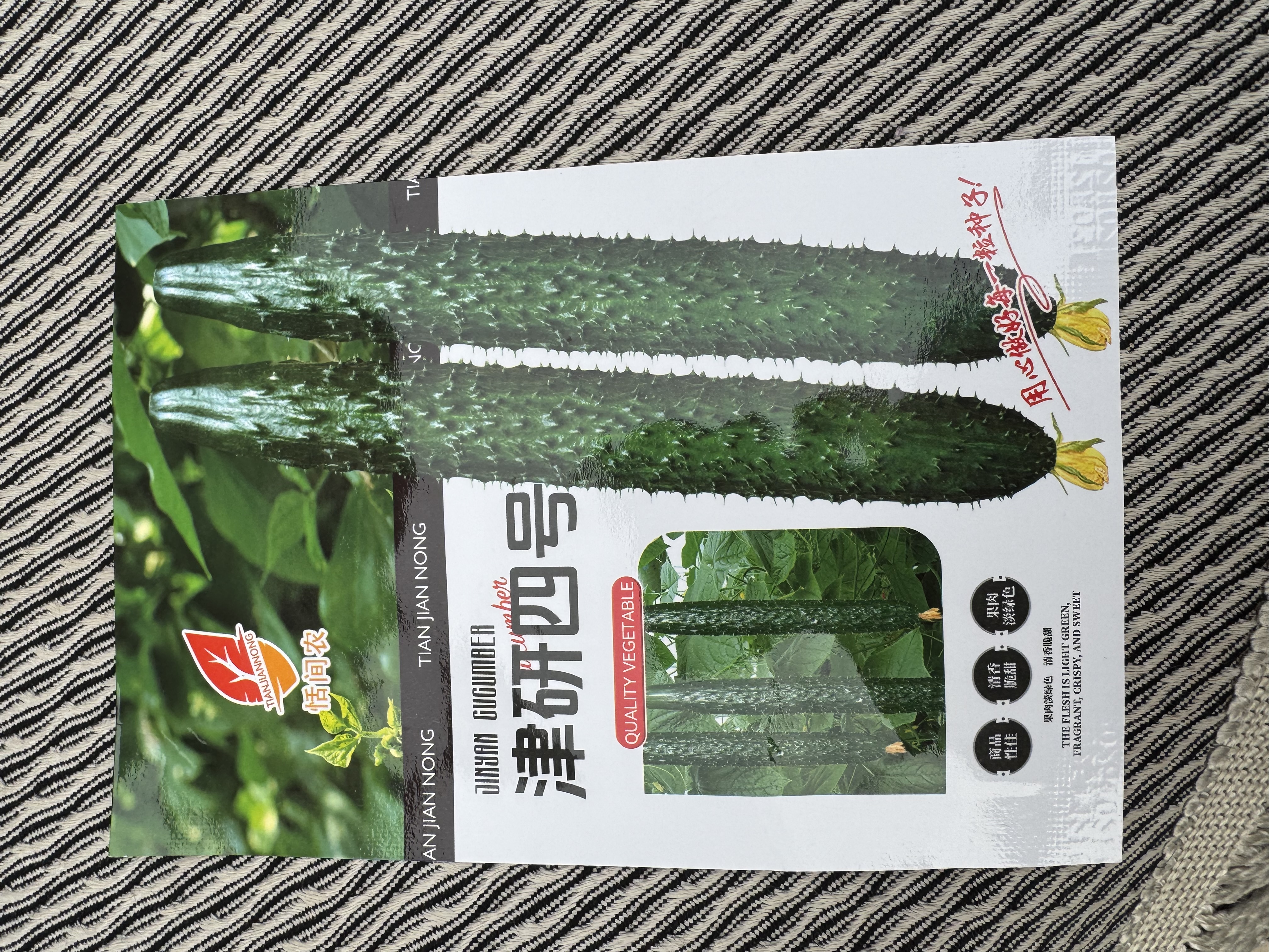 【亏本冲量】津研四号黄瓜种子绿瓤心水果四季阳台盆栽高产蔬菜种 精研四号种子 1包约50粒 实拍图
