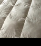 南极人100%羽毛被子冬季被芯 双人秋冬被6斤 200*230cm灰色 实拍图