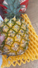 广东徐闻香水菠萝新鲜水果生鲜热带孕妇水果整箱包邮 【限时低价】1个装  净重650g起 实拍图
